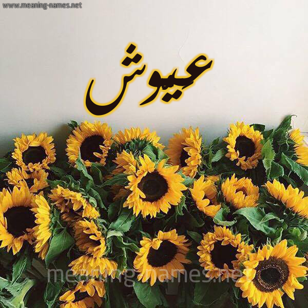 صورة اسم عَيُّوش AAIOOSH شكل 17 صوره دوار الشمس للإسم بخط رقعة صورة اسم عَيُّوش AAIOOSH شكل 17 صوره دوار الشمس للإسم بخط رقعة