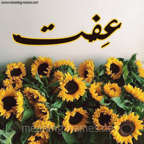 شكل 17 صوره دوار الشمس للإسم بخط رقعة صورة اسم عِفَّتْ AEFAT شكل 17 صوره دوار الشمس للإسم بخط رقعة صورة اسم عِفَّتْ AEFAT