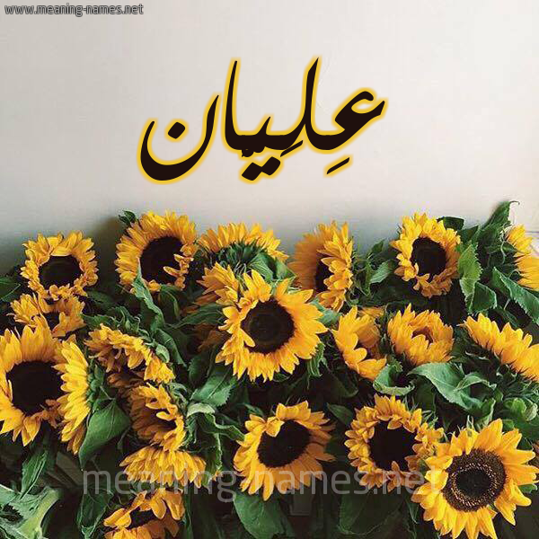صورة اسم عِلَيَّان AELAIAAN شكل 17 صوره دوار الشمس للإسم بخط رقعة صورة اسم عِلَيَّان AELAIAAN شكل 17 صوره دوار الشمس للإسم بخط رقعة