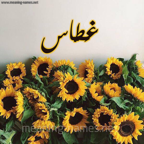 صورة اسم غَطَّاس GHATAAS شكل 17 صوره دوار الشمس للإسم بخط رقعة صورة اسم غَطَّاس GHATAAS شكل 17 صوره دوار الشمس للإسم بخط رقعة