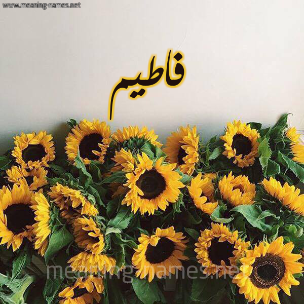 صورة اسم فاطيم Fatim شكل 17 صوره دوار الشمس للإسم بخط رقعة