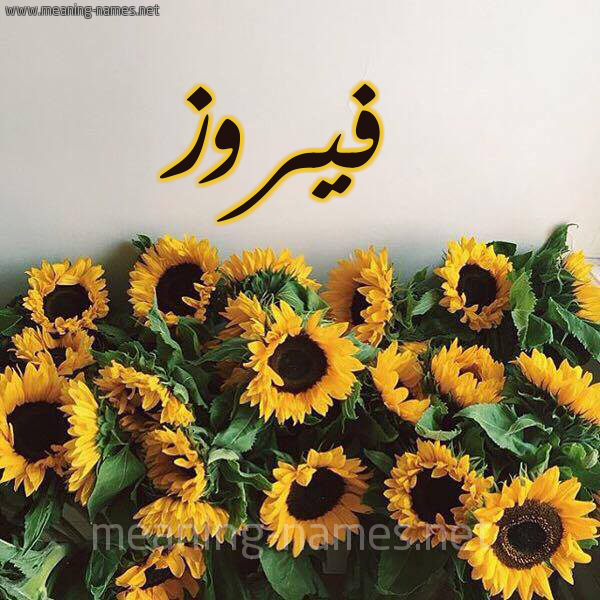 صورة اسم فيروز Fairouz شكل 17 صوره دوار الشمس للإسم بخط رقعة