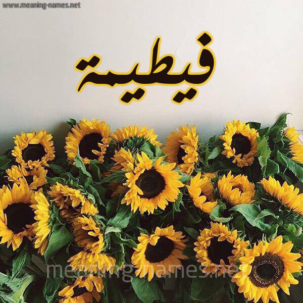 صورة اسم فيطيمة Fateemah شكل 17 صوره دوار الشمس للإسم بخط رقعة