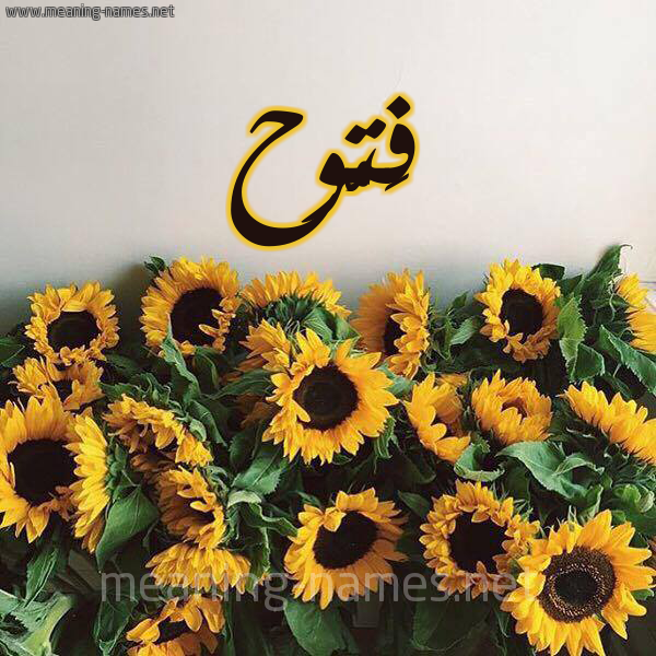 صورة اسم فَتُّوح FATOOH شكل 17 صوره دوار الشمس للإسم بخط رقعة صورة اسم فَتُّوح FATOOH شكل 17 صوره دوار الشمس للإسم بخط رقعة