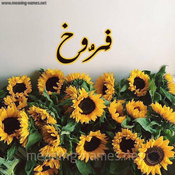 صورة اسم فَرُّوخ FAROOKH شكل 17 صوره دوار الشمس للإسم بخط رقعة صورة اسم فَرُّوخ FAROOKH شكل 17 صوره دوار الشمس للإسم بخط رقعة