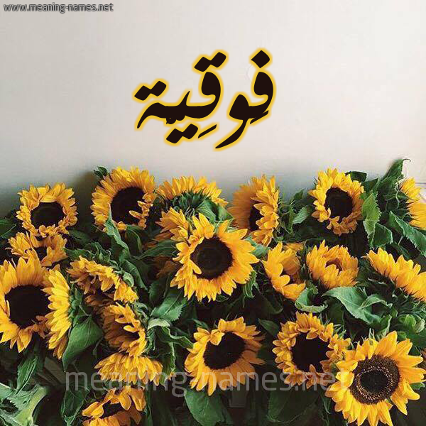 صورة اسم فَوقِيَّة FAOQEIAH شكل 17 صوره دوار الشمس للإسم بخط رقعة صورة اسم فَوقِيَّة FAOQEIAH شكل 17 صوره دوار الشمس للإسم بخط رقعة