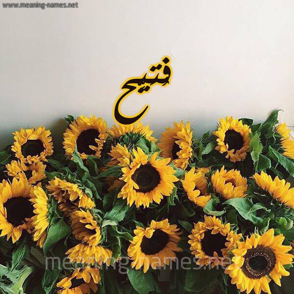 صورة اسم فُتَيِّح FOTAIEH شكل 17 صوره دوار الشمس للإسم بخط رقعة صورة اسم فُتَيِّح FOTAIEH شكل 17 صوره دوار الشمس للإسم بخط رقعة