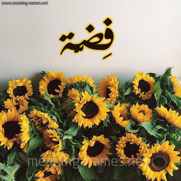 صورة اسم فِضَّة Fidah شكل 17 صوره دوار الشمس للإسم بخط رقعة صورة اسم فِضَّة Fidah شكل 17 صوره دوار الشمس للإسم بخط رقعة