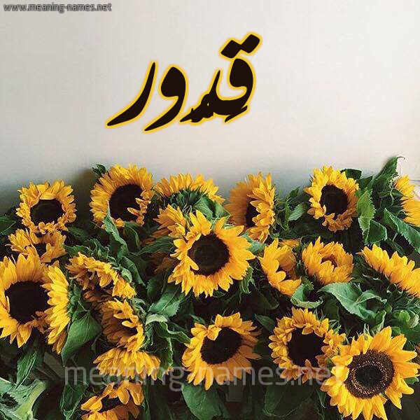 صورة اسم قَدُّور QADOOR شكل 17 صوره دوار الشمس للإسم بخط رقعة صورة اسم قَدُّور QADOOR شكل 17 صوره دوار الشمس للإسم بخط رقعة