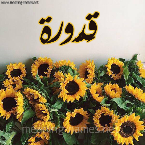 صورة اسم قَدُّورة QADOORH شكل 17 صوره دوار الشمس للإسم بخط رقعة صورة اسم قَدُّورة QADOORH شكل 17 صوره دوار الشمس للإسم بخط رقعة