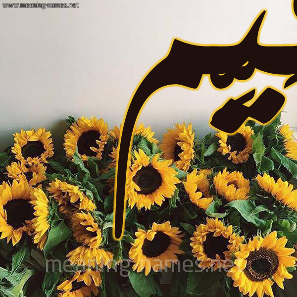 شكل 17 صوره دوار الشمس للإسم بخط رقعة صورة اسم قَيِّم QAIEM شكل 17 صوره دوار الشمس للإسم بخط رقعة صورة اسم قَيِّم QAIEM