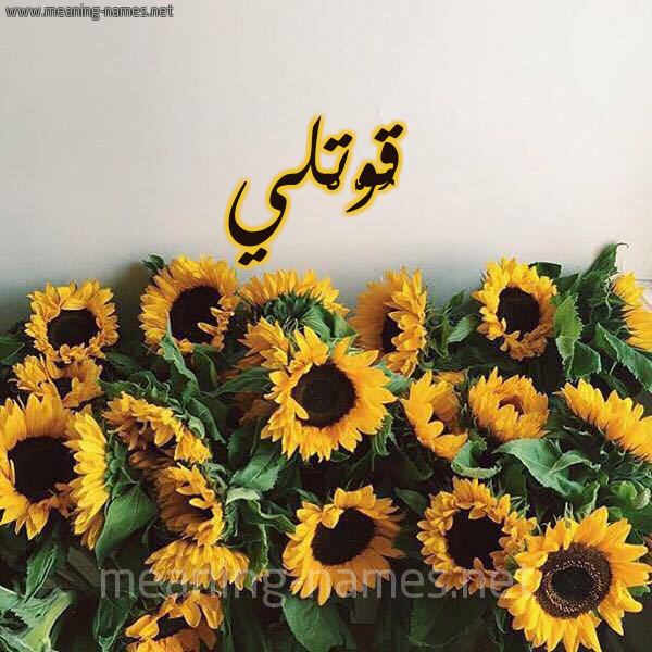 صورة اسم قُوَّتْلي QOOATLI شكل 17 صوره دوار الشمس للإسم بخط رقعة صورة اسم قُوَّتْلي QOOATLI شكل 17 صوره دوار الشمس للإسم بخط رقعة