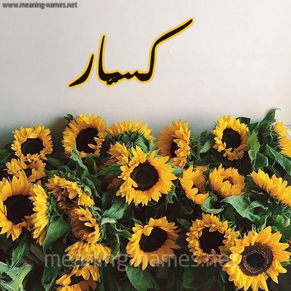 صورة اسم كسَّار KSAAR شكل 17 صوره دوار الشمس للإسم بخط رقعة صورة اسم كسَّار KSAAR شكل 17 صوره دوار الشمس للإسم بخط رقعة