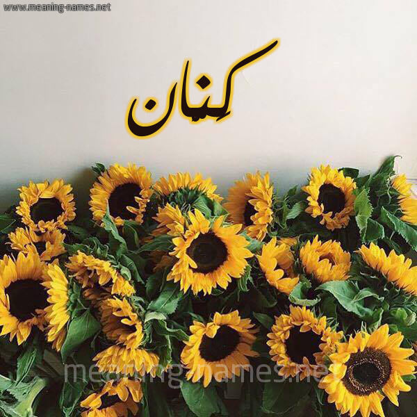 صورة اسم كَنَّان KANAAN شكل 17 صوره دوار الشمس للإسم بخط رقعة صورة اسم كَنَّان KANAAN شكل 17 صوره دوار الشمس للإسم بخط رقعة
