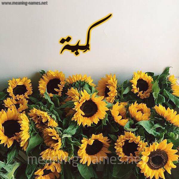 صورة اسم كُبَّة KOBAH شكل 17 صوره دوار الشمس للإسم بخط رقعة صورة اسم كُبَّة KOBAH شكل 17 صوره دوار الشمس للإسم بخط رقعة