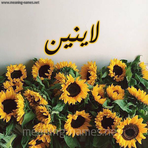 صورة اسم لاينين Lanin شكل 17 صوره دوار الشمس للإسم بخط رقعة