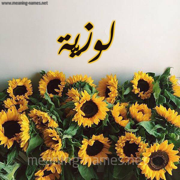 صورة اسم لوزيَّة LOZIAH شكل 17 صوره دوار الشمس للإسم بخط رقعة صورة اسم لوزيَّة LOZIAH شكل 17 صوره دوار الشمس للإسم بخط رقعة