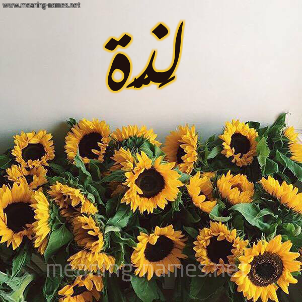صورة اسم لَذَّة LAZAH شكل 17 صوره دوار الشمس للإسم بخط رقعة صورة اسم لَذَّة LAZAH شكل 17 صوره دوار الشمس للإسم بخط رقعة