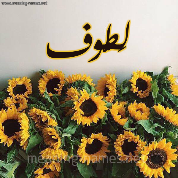 صورة اسم لَطُّوف LATOOF شكل 17 صوره دوار الشمس للإسم بخط رقعة صورة اسم لَطُّوف LATOOF شكل 17 صوره دوار الشمس للإسم بخط رقعة