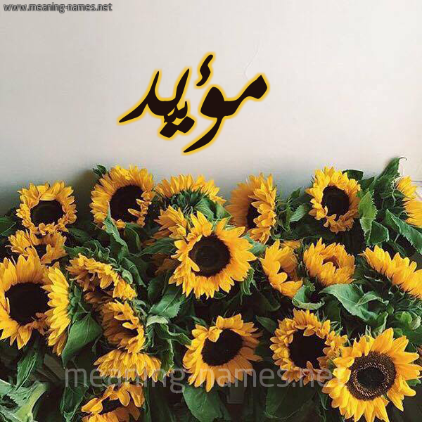 صورة اسم مؤيَّد MOIAD شكل 17 صوره دوار الشمس للإسم بخط رقعة صورة اسم مؤيَّد MOIAD شكل 17 صوره دوار الشمس للإسم بخط رقعة
