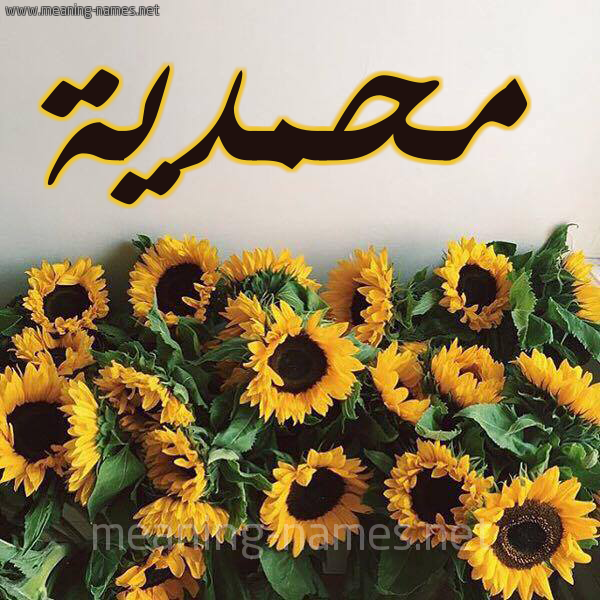 صورة اسم محمدية Mhmdyh شكل 17 صوره دوار الشمس للإسم بخط رقعة
