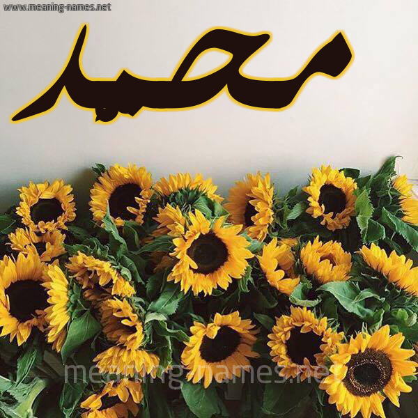 صورة اسم محمَّد Mohammed شكل 17 صوره دوار الشمس للإسم بخط رقعة صورة اسم محمَّد Mohammed شكل 17 صوره دوار الشمس للإسم بخط رقعة