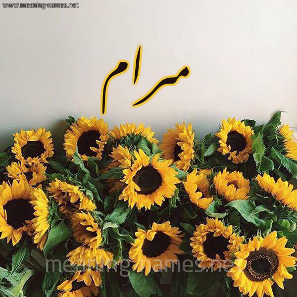 صورة اسم مرام Maram شكل 17 صوره دوار الشمس للإسم بخط رقعة