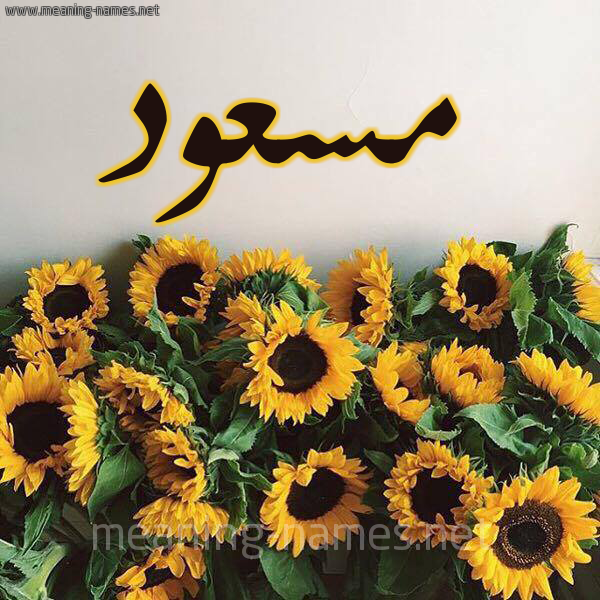 شكل 17 صوره دوار الشمس للإسم بخط رقعة صورة اسم مسعود Massoud