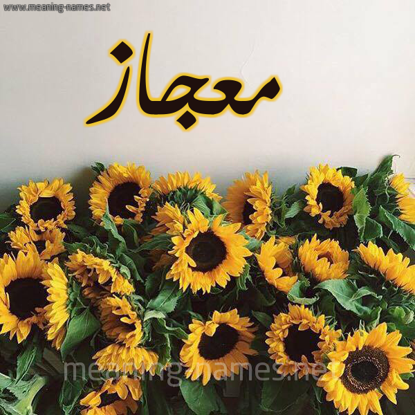 صورة اسم معجاز M'jaz شكل 17 صوره دوار الشمس للإسم بخط رقعة