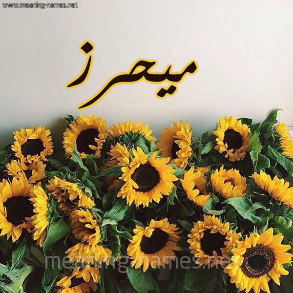 صورة اسم ميحرز Mahrez شكل 17 صوره دوار الشمس للإسم بخط رقعة