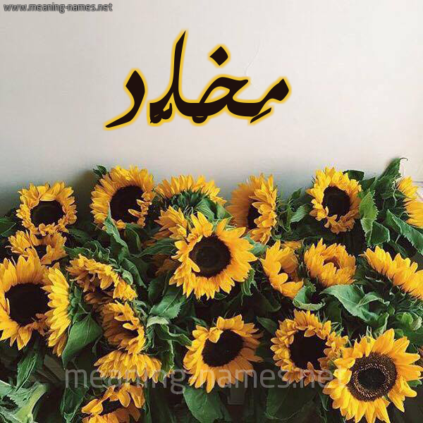 صورة اسم مَخْلَّّد MAKHLAD شكل 17 صوره دوار الشمس للإسم بخط رقعة صورة اسم مَخْلَّّد MAKHLAD شكل 17 صوره دوار الشمس للإسم بخط رقعة