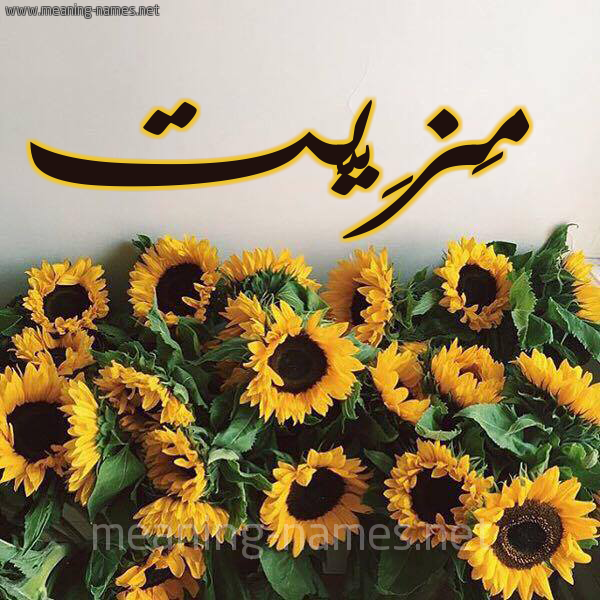 صورة اسم مَزِيَّت MAZEIAT شكل 17 صوره دوار الشمس للإسم بخط رقعة صورة اسم مَزِيَّت MAZEIAT شكل 17 صوره دوار الشمس للإسم بخط رقعة