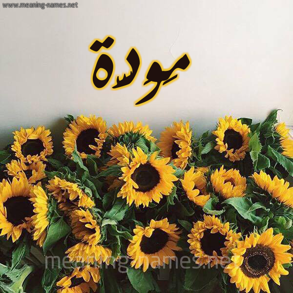 صورة اسم مَوَدَّة MAOADAH شكل 17 صوره دوار الشمس للإسم بخط رقعة صورة اسم مَوَدَّة MAOADAH شكل 17 صوره دوار الشمس للإسم بخط رقعة