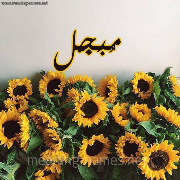 شكل 17 صوره دوار الشمس للإسم بخط رقعة صورة اسم مُبَجَّل MOBAGAL شكل 17 صوره دوار الشمس للإسم بخط رقعة صورة اسم مُبَجَّل MOBAGAL