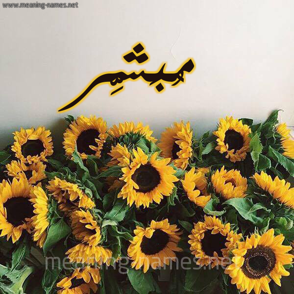 صورة اسم مُبَشِّر MOBASHER شكل 17 صوره دوار الشمس للإسم بخط رقعة صورة اسم مُبَشِّر MOBASHER شكل 17 صوره دوار الشمس للإسم بخط رقعة