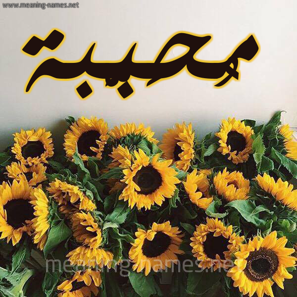 شكل 17 صوره دوار الشمس للإسم بخط رقعة صورة اسم مُحَبَّبة MOHABABH شكل 17 صوره دوار الشمس للإسم بخط رقعة صورة اسم مُحَبَّبة MOHABABH