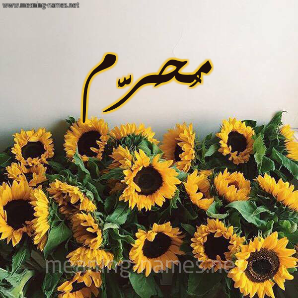 صورة اسم مُحَرَّم MOHARAM شكل 17 صوره دوار الشمس للإسم بخط رقعة صورة اسم مُحَرَّم MOHARAM شكل 17 صوره دوار الشمس للإسم بخط رقعة