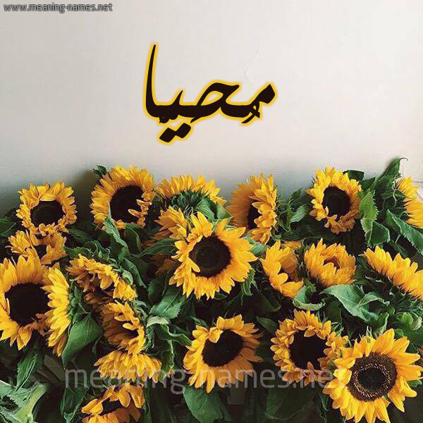 صورة اسم مُحَيَّا MOHAIAA شكل 17 صوره دوار الشمس للإسم بخط رقعة صورة اسم مُحَيَّا MOHAIAA شكل 17 صوره دوار الشمس للإسم بخط رقعة