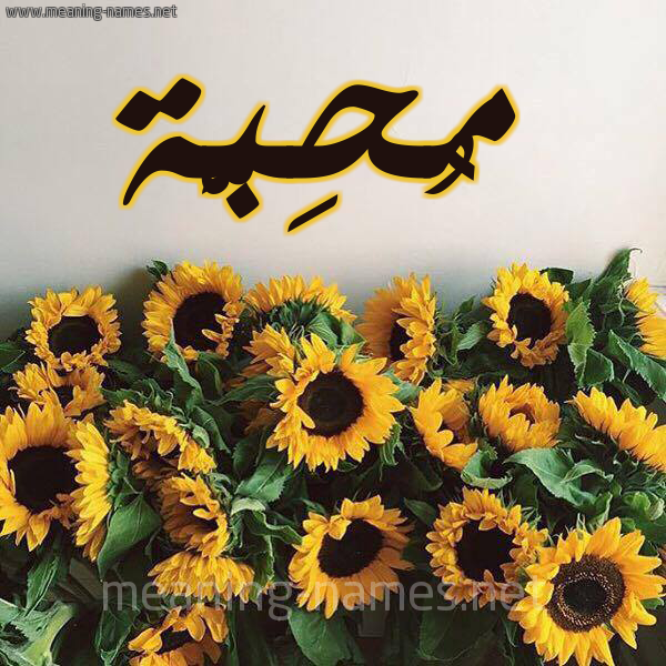صورة اسم مُحِبَّة MOHEBAH شكل 17 صوره دوار الشمس للإسم بخط رقعة صورة اسم مُحِبَّة MOHEBAH شكل 17 صوره دوار الشمس للإسم بخط رقعة