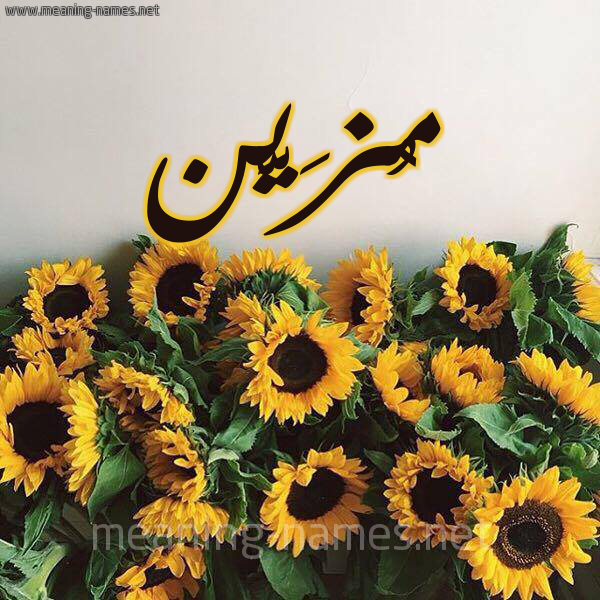 صورة اسم مُزَيَّن MOZAIAN شكل 17 صوره دوار الشمس للإسم بخط رقعة صورة اسم مُزَيَّن MOZAIAN شكل 17 صوره دوار الشمس للإسم بخط رقعة