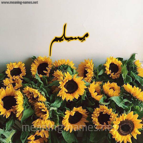 صورة اسم مُسَلَّم MOSALAM شكل 17 صوره دوار الشمس للإسم بخط رقعة صورة اسم مُسَلَّم MOSALAM شكل 17 صوره دوار الشمس للإسم بخط رقعة