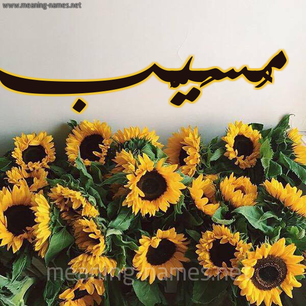 صورة اسم مُسَيَّب MOSAIAB شكل 17 صوره دوار الشمس للإسم بخط رقعة صورة اسم مُسَيَّب MOSAIAB شكل 17 صوره دوار الشمس للإسم بخط رقعة
