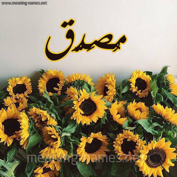 صورة اسم مُصَدَّق MOSADAQ شكل 17 صوره دوار الشمس للإسم بخط رقعة صورة اسم مُصَدَّق MOSADAQ شكل 17 صوره دوار الشمس للإسم بخط رقعة