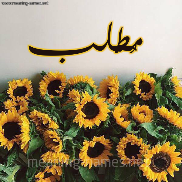 صورة اسم مُطَّلب MOTALB شكل 17 صوره دوار الشمس للإسم بخط رقعة صورة اسم مُطَّلب MOTALB شكل 17 صوره دوار الشمس للإسم بخط رقعة