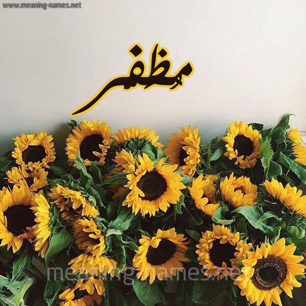 صورة اسم مُظَفَّر MOZAFAR شكل 17 صوره دوار الشمس للإسم بخط رقعة صورة اسم مُظَفَّر MOZAFAR شكل 17 صوره دوار الشمس للإسم بخط رقعة