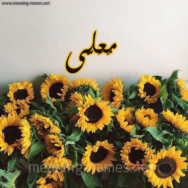 صورة اسم مُعَلَّى MOAALAA شكل 17 صوره دوار الشمس للإسم بخط رقعة صورة اسم مُعَلَّى MOAALAA شكل 17 صوره دوار الشمس للإسم بخط رقعة