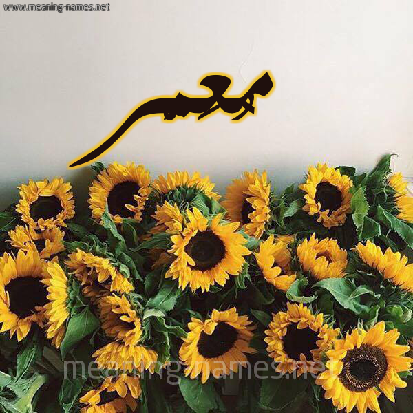 صورة اسم مُعَمَّر Moamer شكل 17 صوره دوار الشمس للإسم بخط رقعة صورة اسم مُعَمَّر Moamer شكل 17 صوره دوار الشمس للإسم بخط رقعة