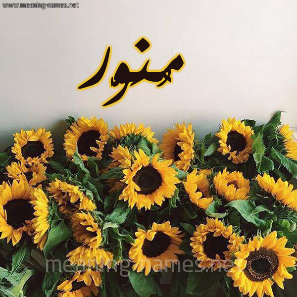 صورة اسم مُنَوَّر MONAOAR شكل 17 صوره دوار الشمس للإسم بخط رقعة صورة اسم مُنَوَّر MONAOAR شكل 17 صوره دوار الشمس للإسم بخط رقعة