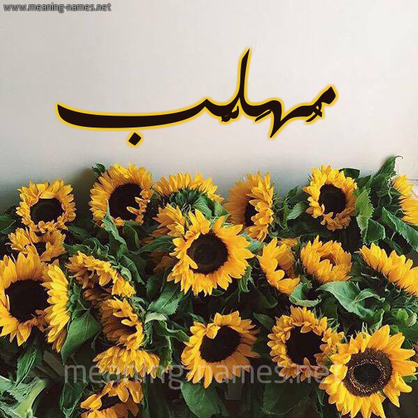 صورة اسم مُهَلَّب MOHALAB شكل 17 صوره دوار الشمس للإسم بخط رقعة صورة اسم مُهَلَّب MOHALAB شكل 17 صوره دوار الشمس للإسم بخط رقعة