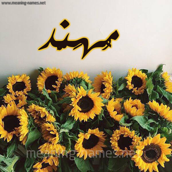 صورة اسم مُهَنَّد MOHANAD شكل 17 صوره دوار الشمس للإسم بخط رقعة صورة اسم مُهَنَّد MOHANAD شكل 17 صوره دوار الشمس للإسم بخط رقعة